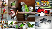 /album/fotogaleria/fotografie-oznacene-hviezdickou-jpg/